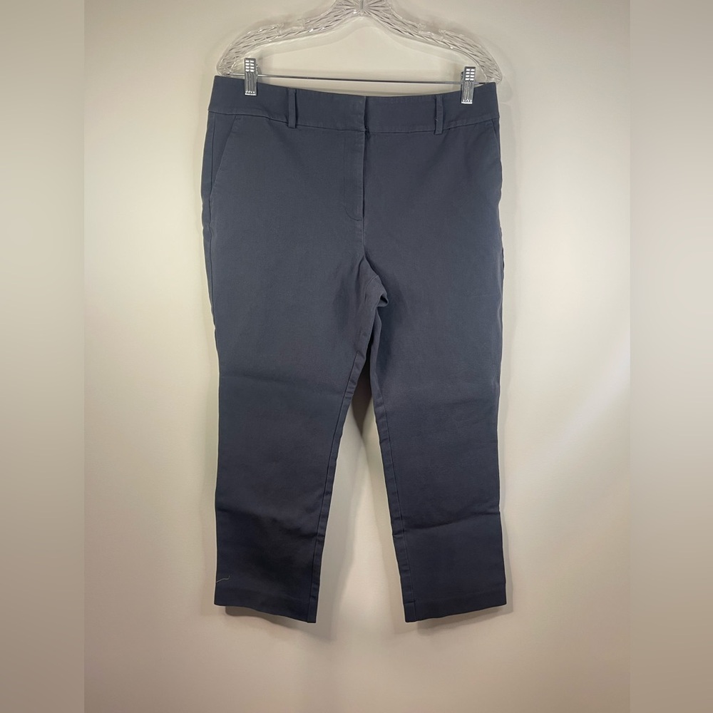 Anna‎ Taylor Factory Gray cropped dress pants.